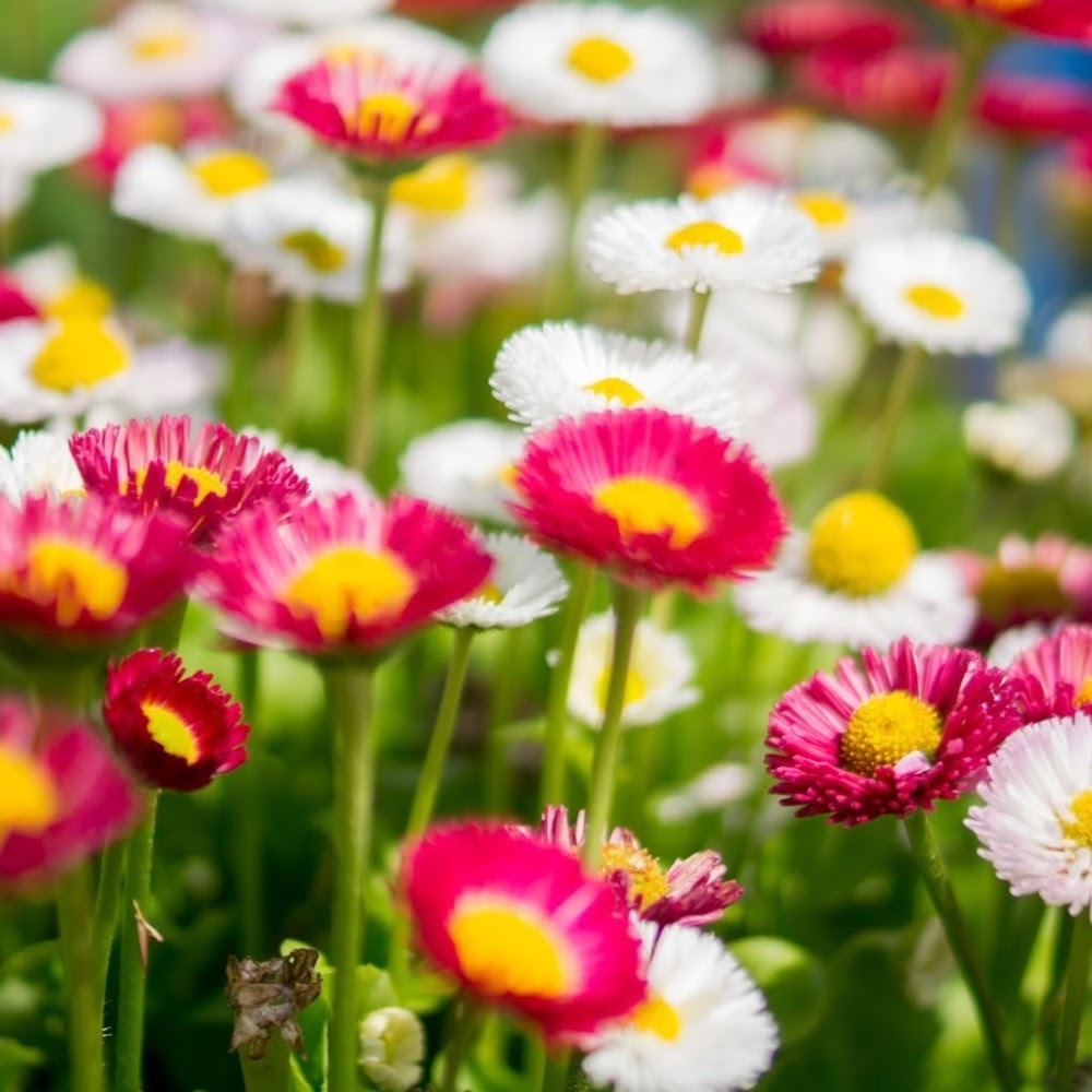 Meet your Posher, Cate